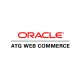 Oracle's ATG Web Commerce